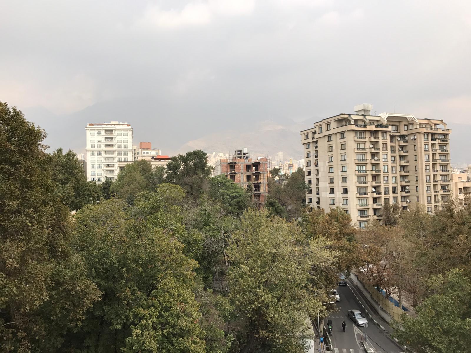 Apartment In Tehran Elahiyeh Code 1164-11