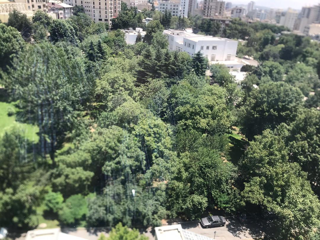 Semi Furnished Apartment In Tehran Niavaran-View