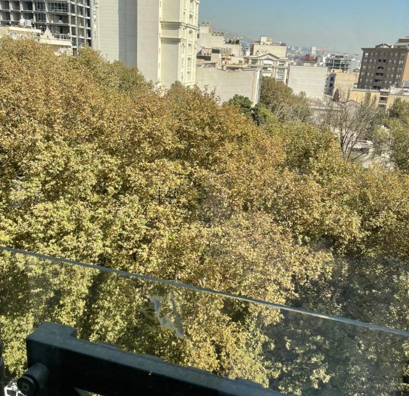 Apartment In Tehran Farmanieh code 1255-7