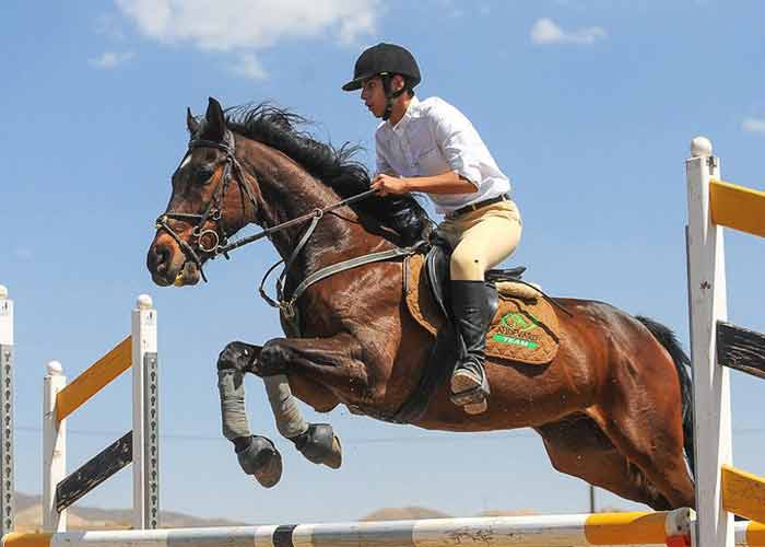 Abbas Abad Horse Riding Club