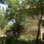 Villa In Tehran Niavaran Code 1616-14