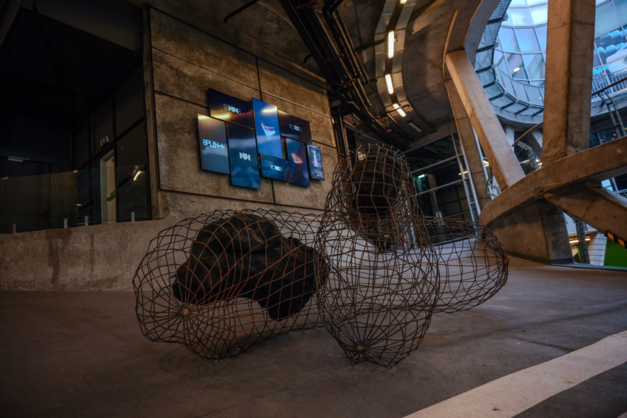 AvaPlatt Shopping Mall