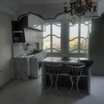 Short Term Apartment In Tehran Darrous Code 2405 (7)