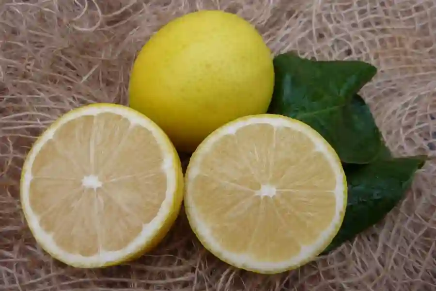 Persian Lemon 