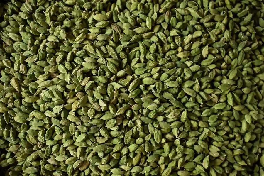 Iranian Cardamom