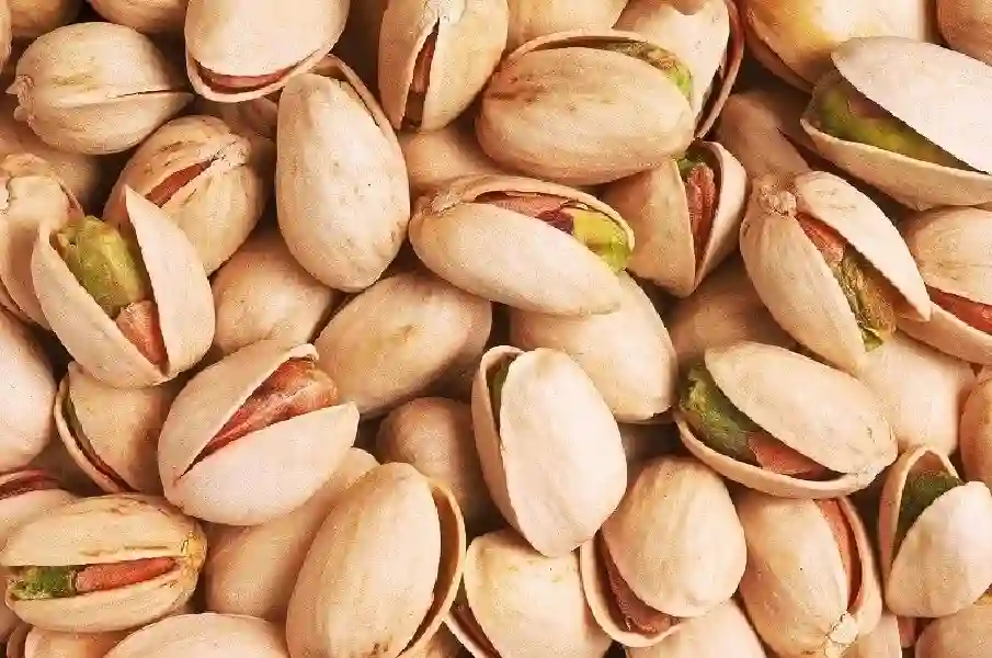 Persian Pistachio