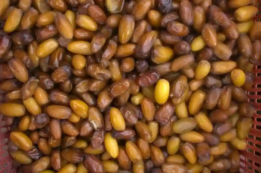 Iranian Dates | The Sweet Secret to a Profitable Import Business