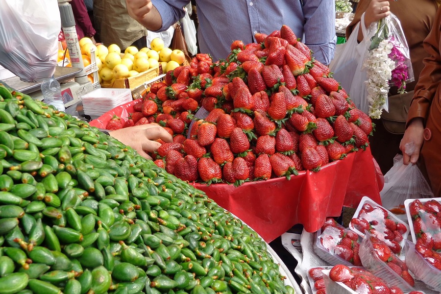 Persian Strawberries: A Guide to Exporting Iran’s Sweetest Hidden Gem